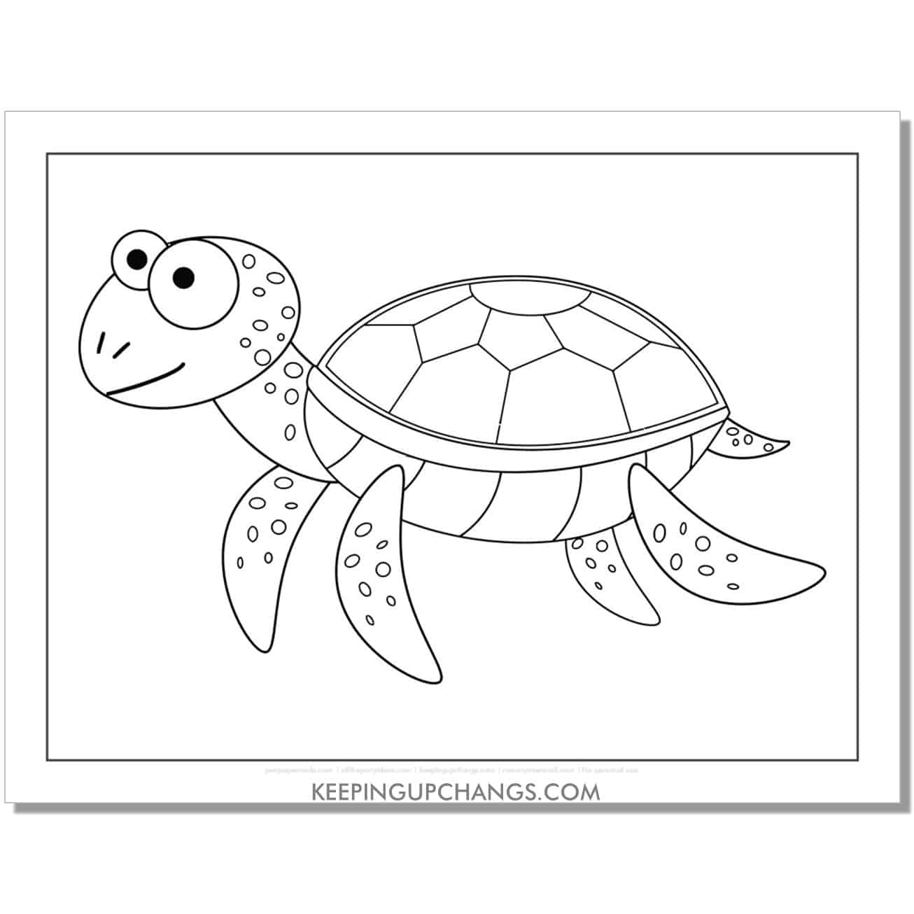 free funny turtle coloring page, sheet.