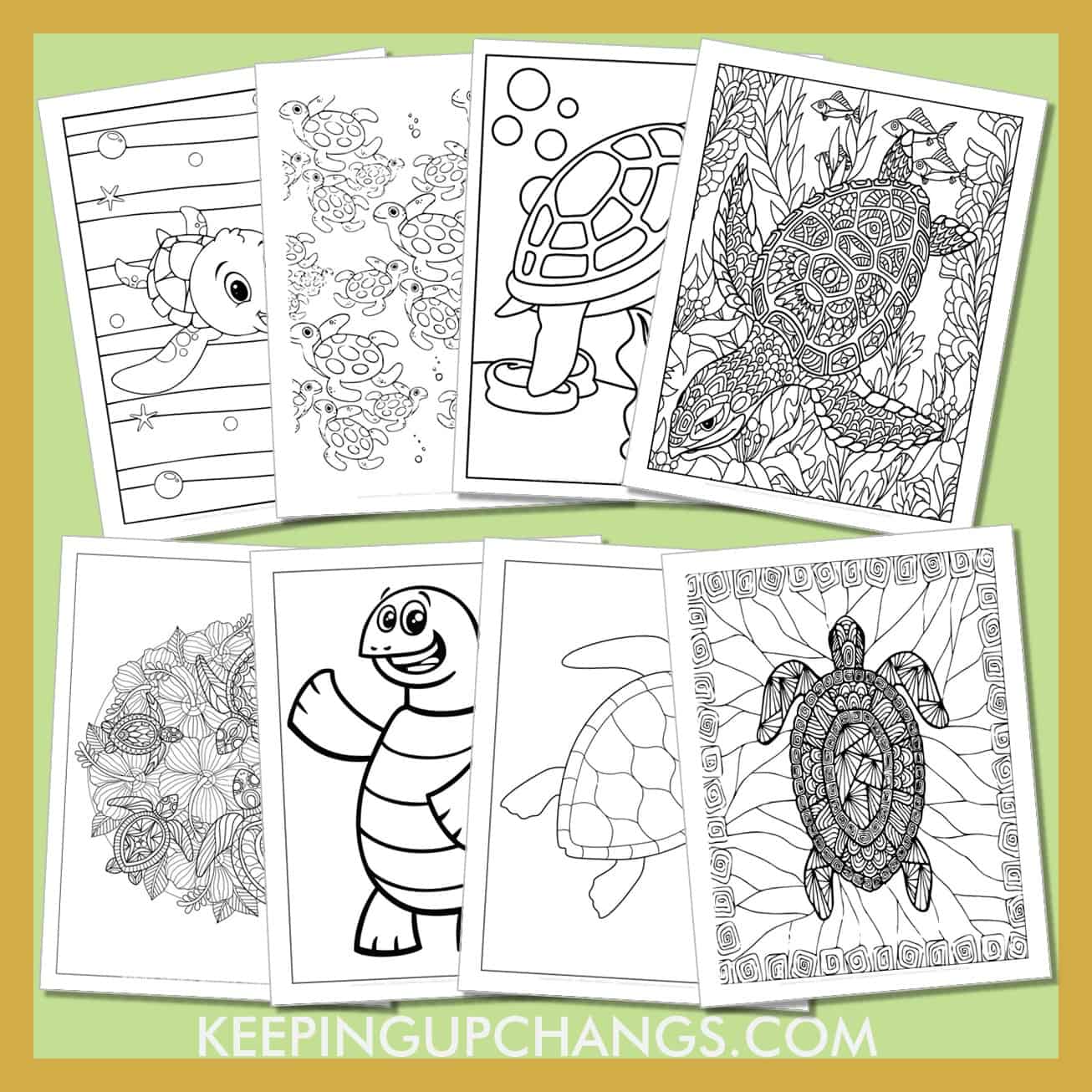 free turtle pictures to color for toddlers, kids, adults.
