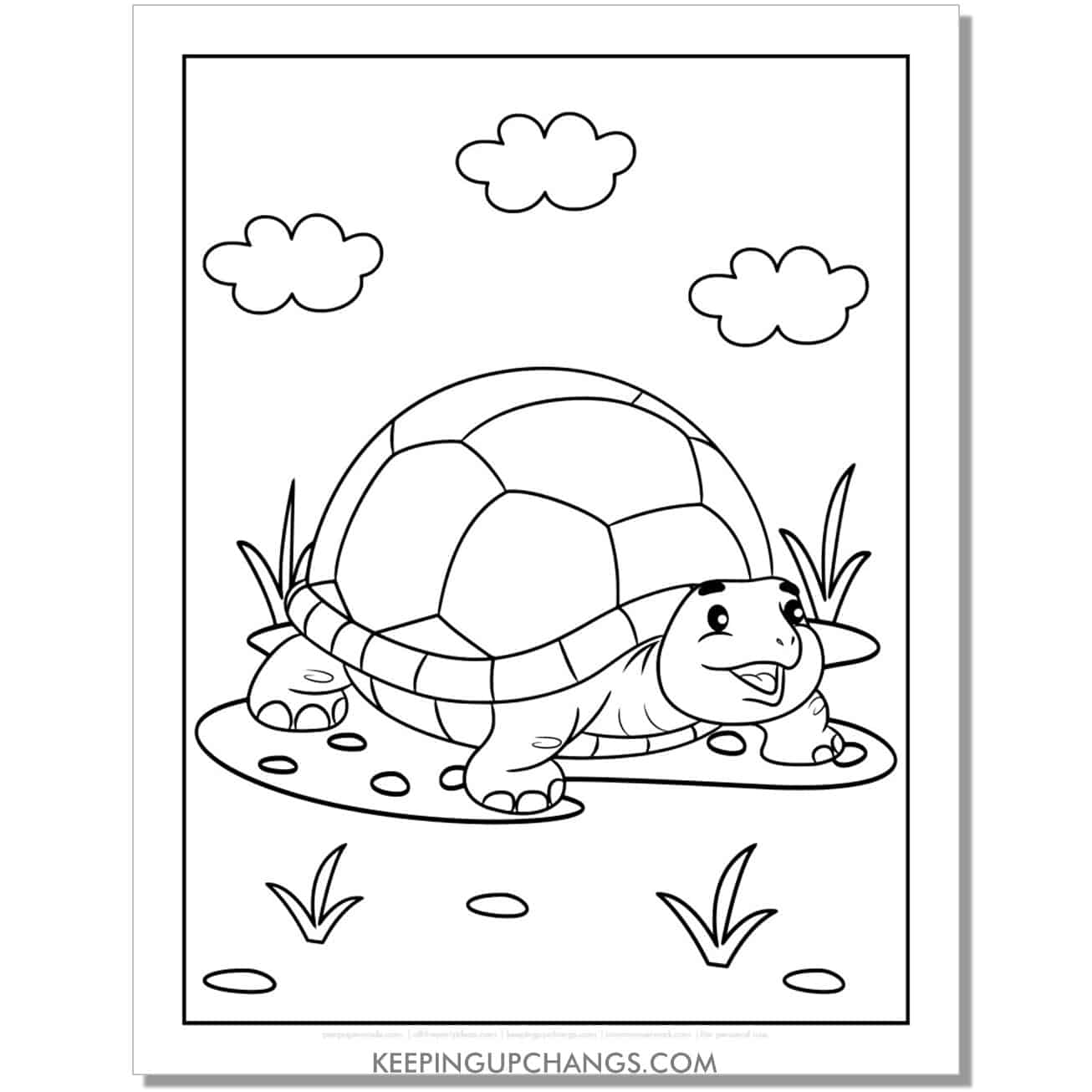 free cute tortoise full size coloring page, sheet.