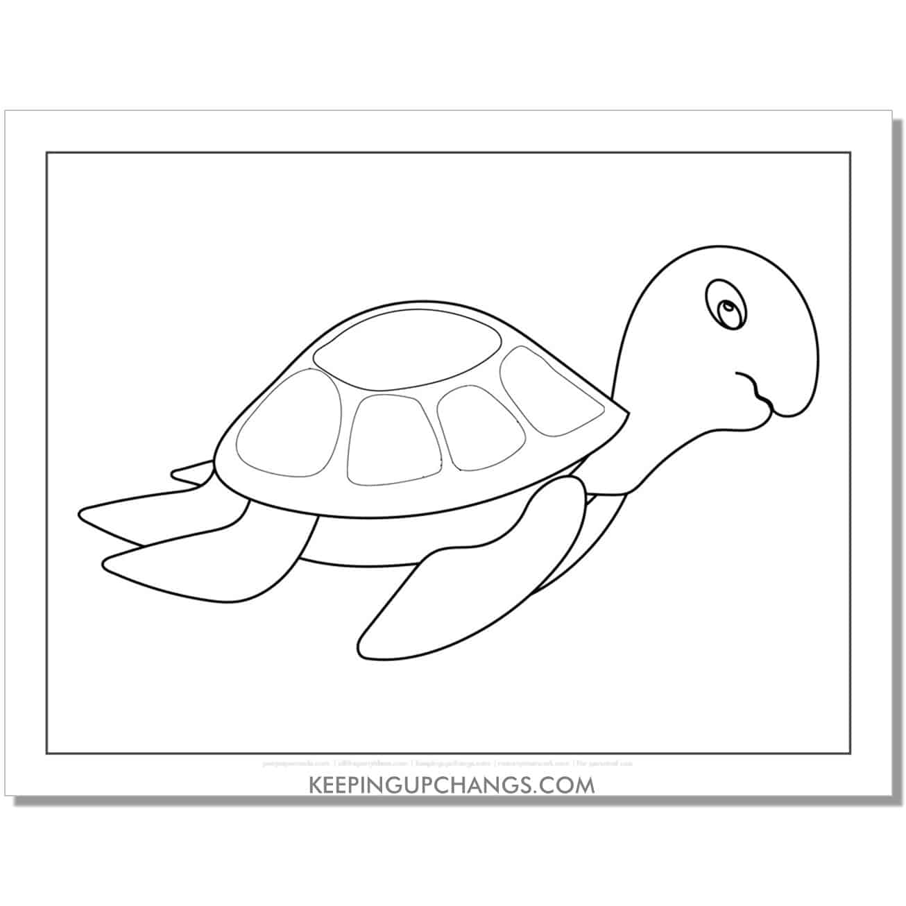 free easy baby turtle coloring page, sheet.