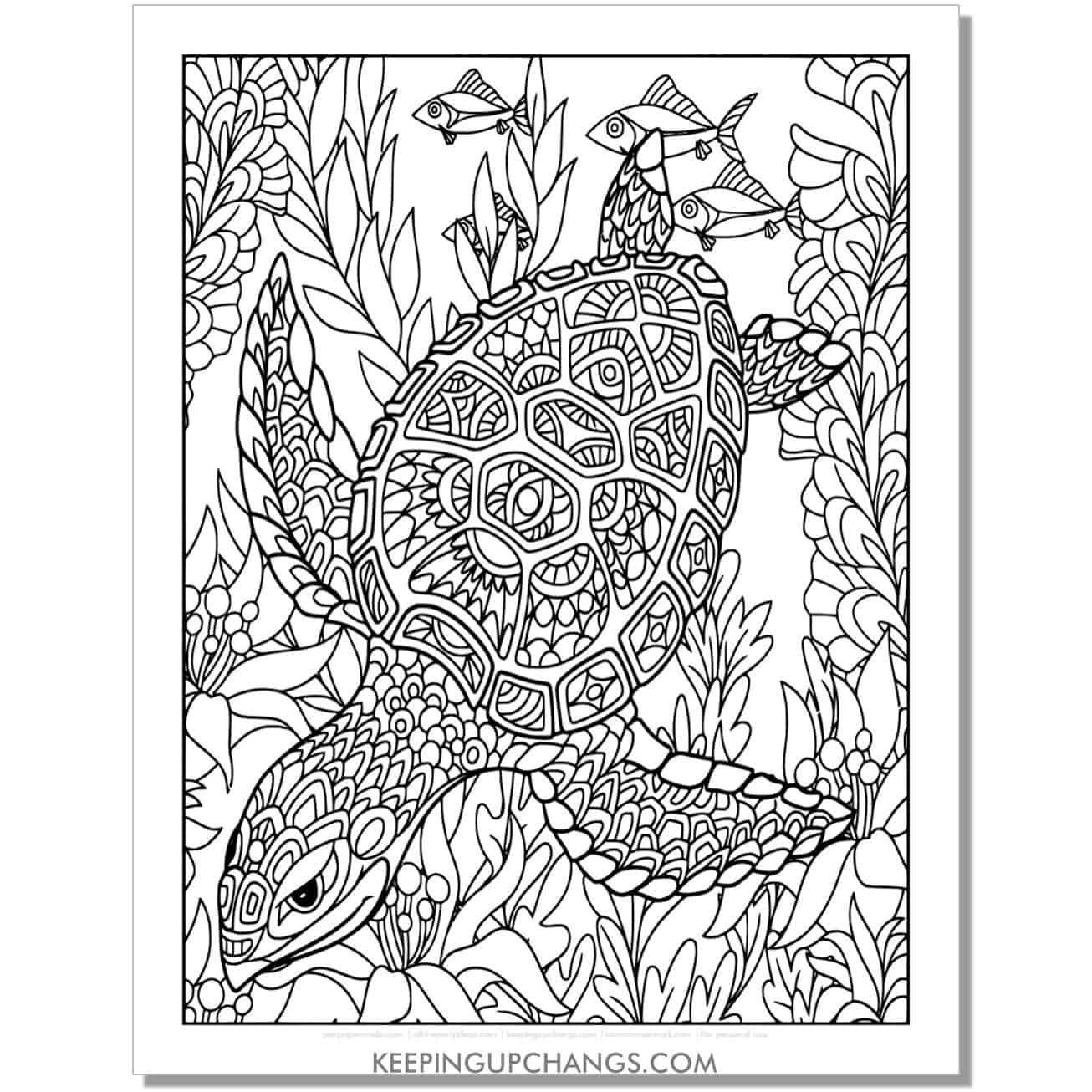 free complicated turtle coloring page, sheet for adults.