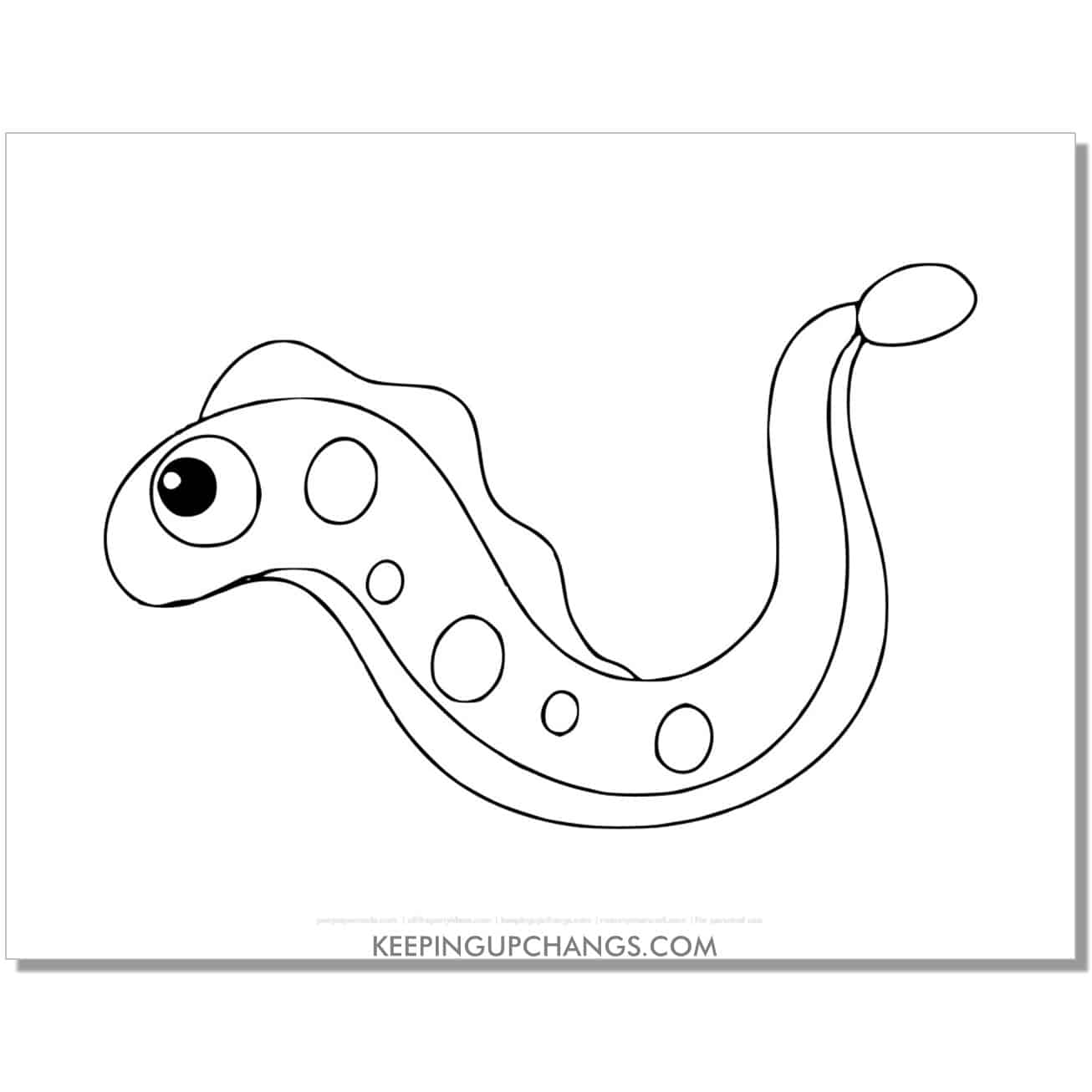 free cute eel fish coloring page, sheet.