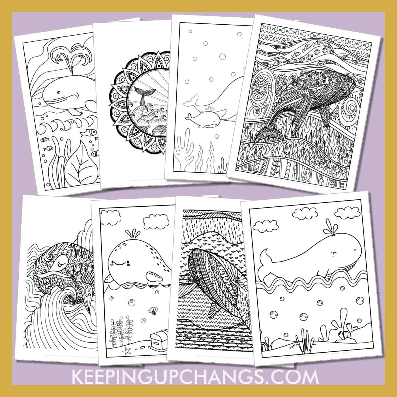 free whale pictures to color for toddlers, kids, adults.