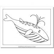 21+ Free Whale Coloring Pages, Sheets [MOST POPULAR Printables!]