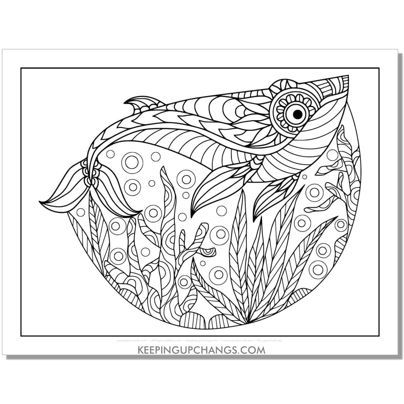free intricate whale coloring page, sheet for teens, adults.