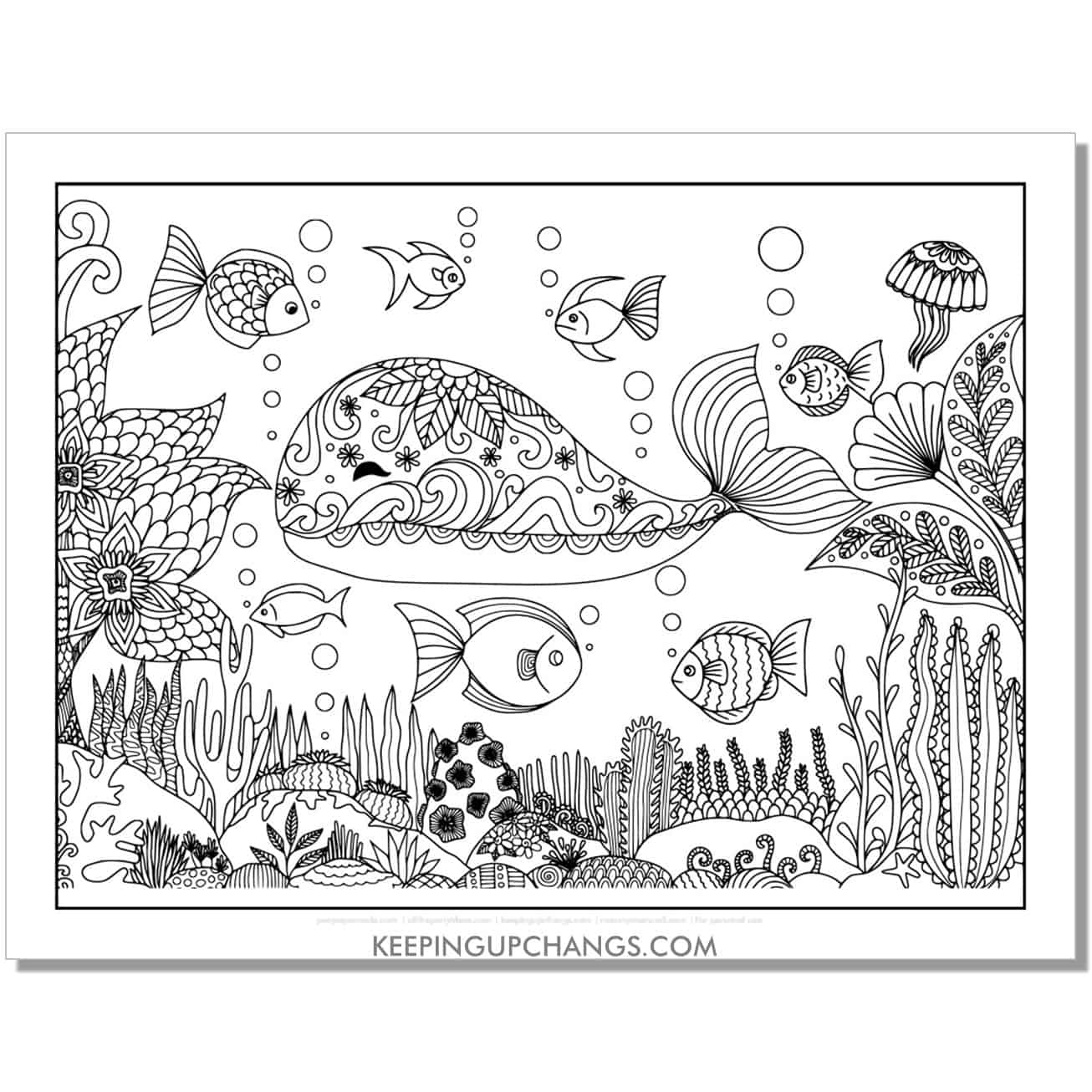 free detailed whale coloring page, sheet for adults.
